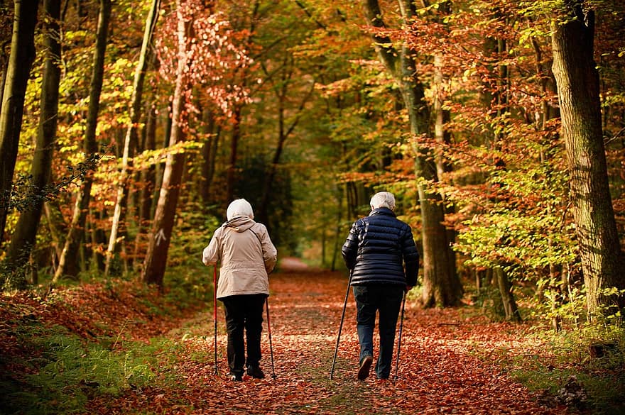 pagyvenę žmonės, pora, rudenį, vaikščioti, pasivaikščiojimas, kartu, medžiai, ruduo, lapai, lapija, rudens lapai