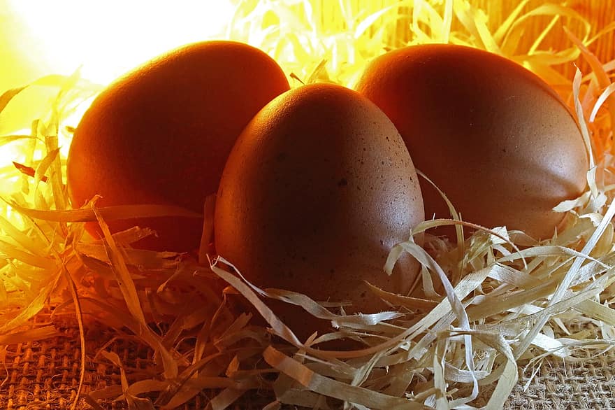 uova di gallina, pollame, cibo, incubazione, produrre, fresco, letto di paglia, uovo animale, avvicinamento, nido d'animali, giallo
