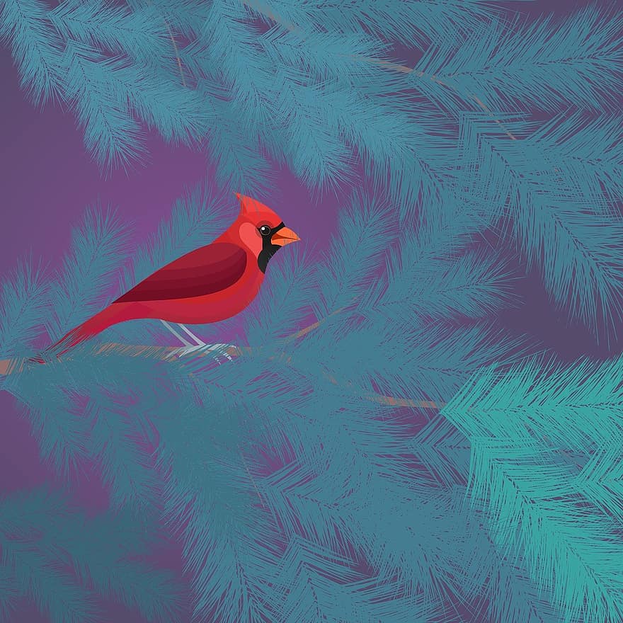 kardinal, fugl, natur, vinter, gran tre, jul, illustrasjon, bakgrunn, fjær, vektor, gren