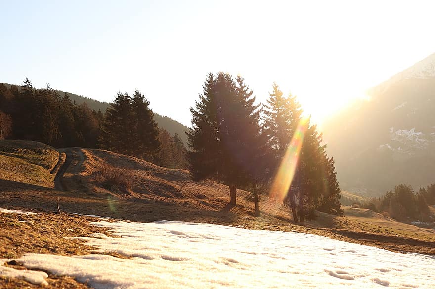 zachód słońca, zimowy, łąka, światło słoneczne, drzewa, Natura, śnieg, tyrol, Austria, las, drzewo