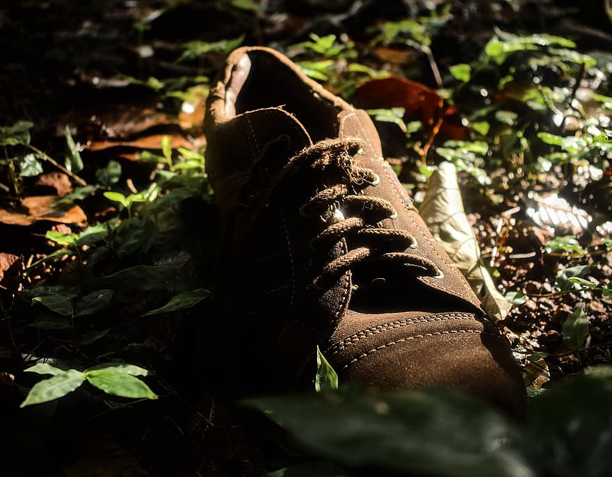 sapato, calçados, Sapato abandonado, chão da floresta, ao ar livre