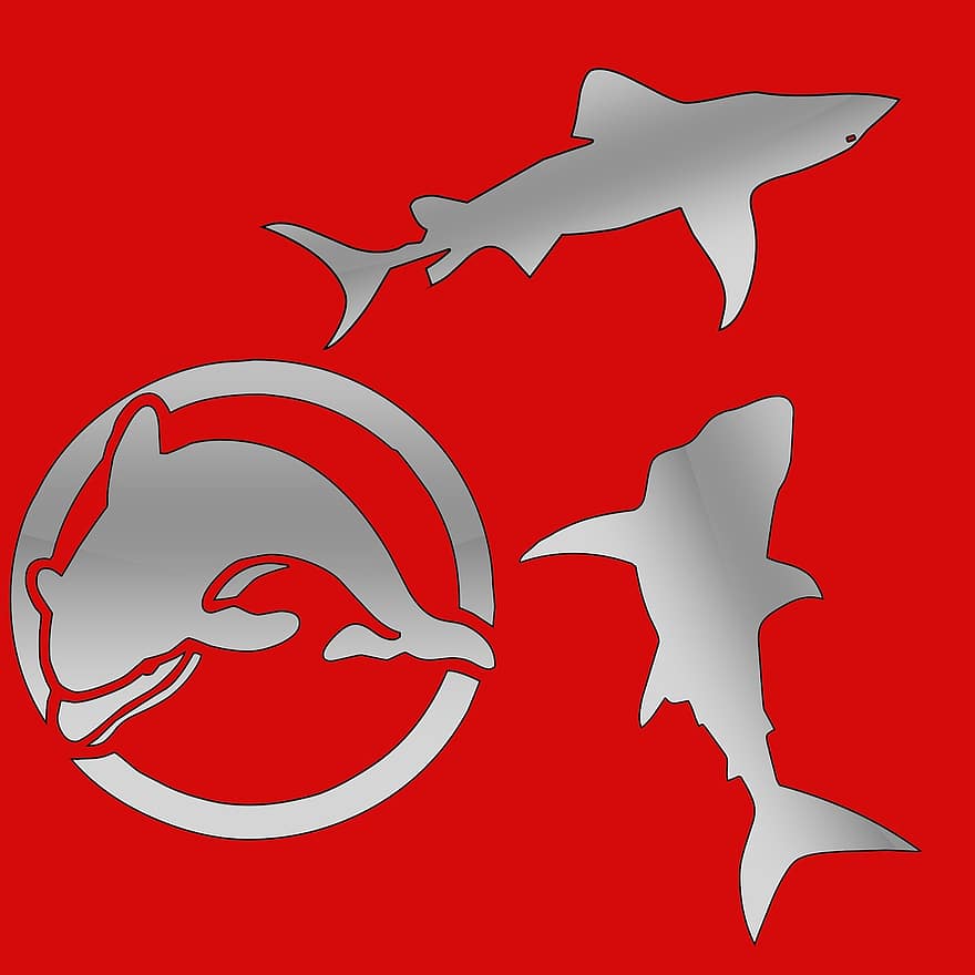 animali marini, squalo, delfini, vettore, rosso, acqua