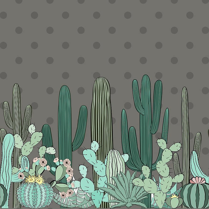 cactus, plante, vert, la nature, flore, conception, botanique, Contexte, conception graphique