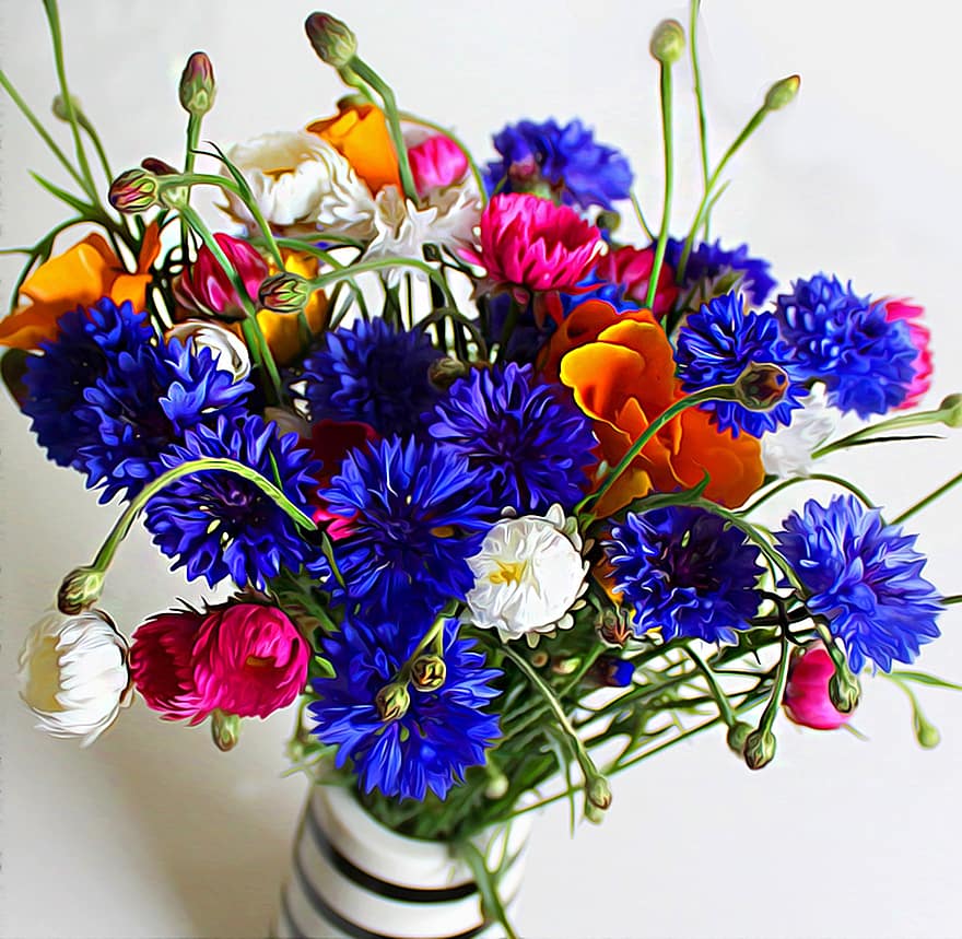 λουλούδια, μπουκέτο, σημάδια λουλουδιών, άγρια ​​λουλούδια, Δανία, καλοκαίρι, λουλούδι