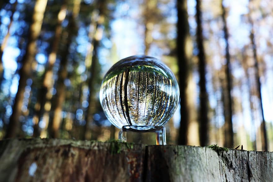 la nature, forêt, sphère de verre