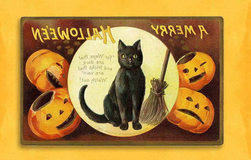 Halloween, Vintage, Card, Halloween Card, Cat, Black, Pumpkin, Template, Holiday, Party, Retro