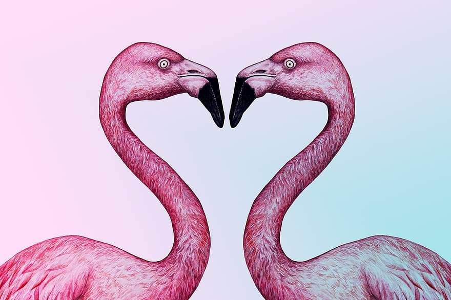 vogel, flamingo, kus, paar, helling, liefde, een hart, romantisch, familie, illustratie, vector