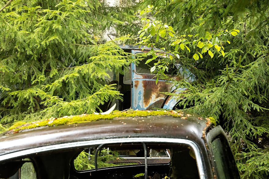 Car, Wreck, Abandoned, Rusty, Old, Moss, forest, transportation, land vehicle, tree, green color