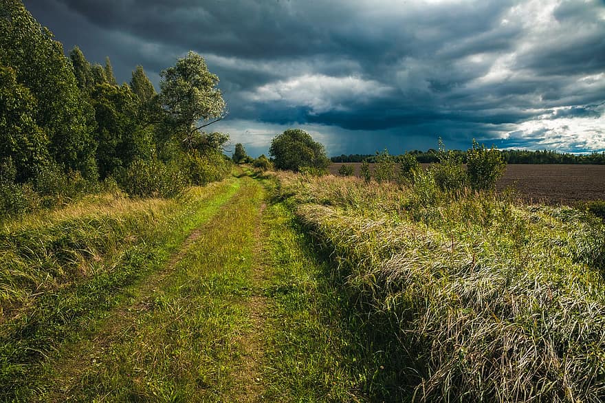 Path, Rural, Rain, Storm, Nature, Landscape, Summer, rural scene, grass, meadow, farm