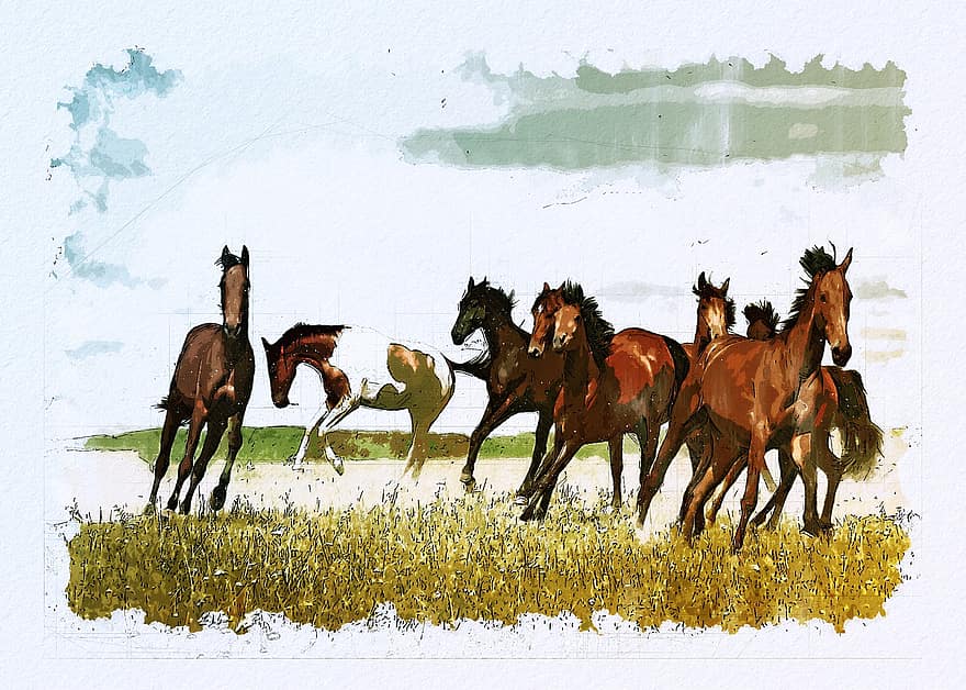 zirgi, ganāmpulks, raksturs, savvaļas, galops, zīmējums, glezna, zirgs, saimniecība, ilustrācija, lauku ainas