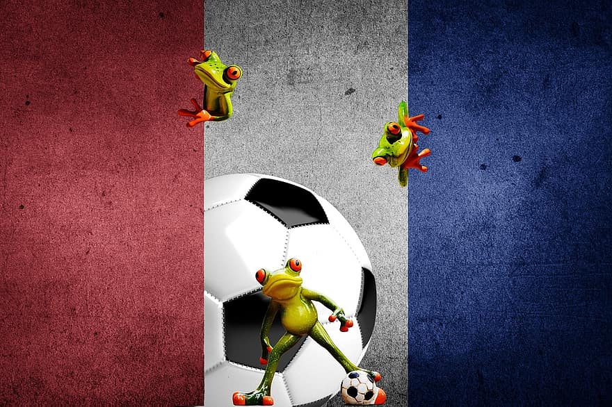 Europees kampioenschap, voetbal, 2016, Frankrijk, toernooi, wedstrijd, sport, spelen, kikkers, grappig, schattig