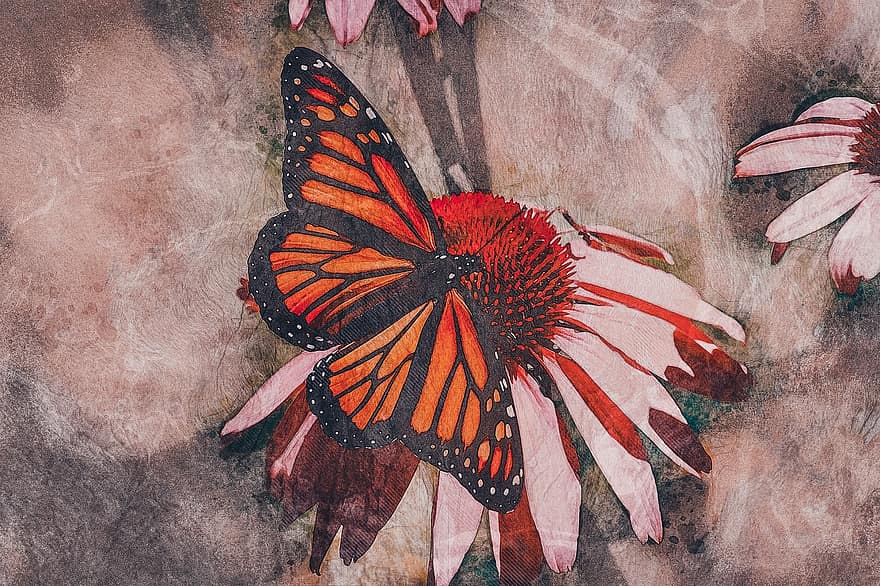 나비, 곤충, 동물, 미술, 아름다운, 아름다움, 색깔, 화려한, 장식, 장식적인, 그림