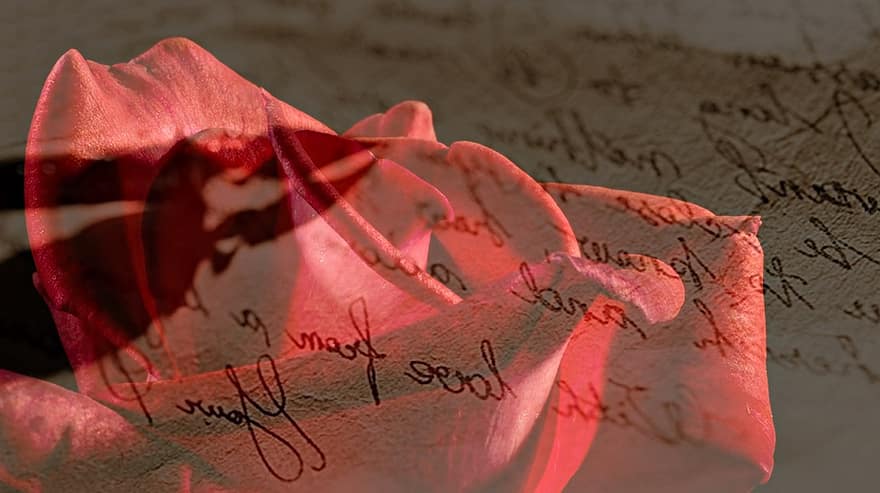 rosa, vermell, Rosa vermella, carta d’amor, escrit a mà, ploma, ploma estilogràfica, amor, romanç, romàntic, fons
