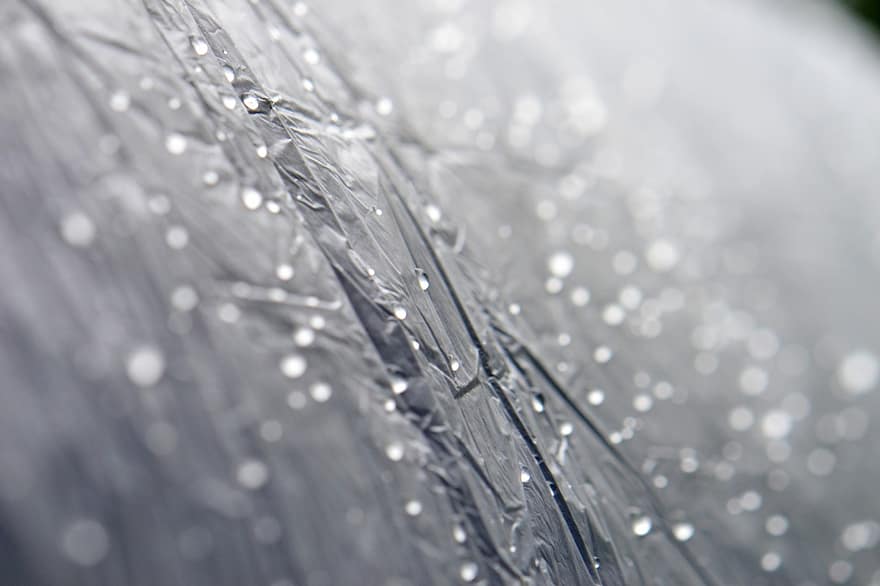 Water Drops, Dewdrops, Precipitation, Raindrops, Background