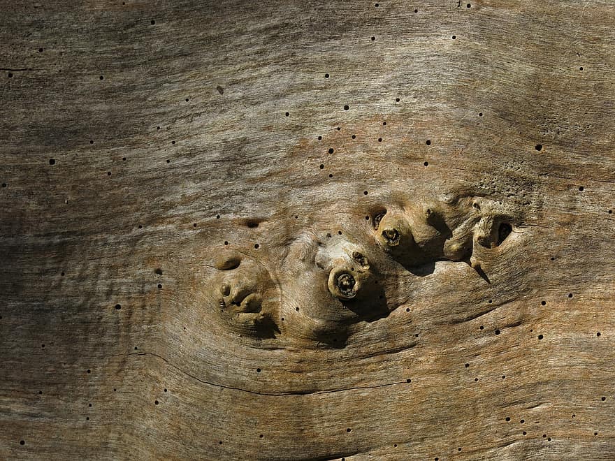 perspectiva macro, lemn, textură, copac, textura lemnului, suprafaţă, macro