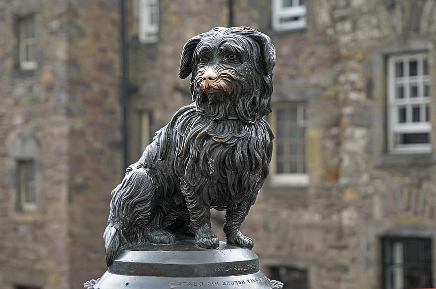 greyfriars, bobby, Edimburgo, Escócia, cão, estátua, monumento, Skye Terrier, arquitetura, escultura, lugar famoso