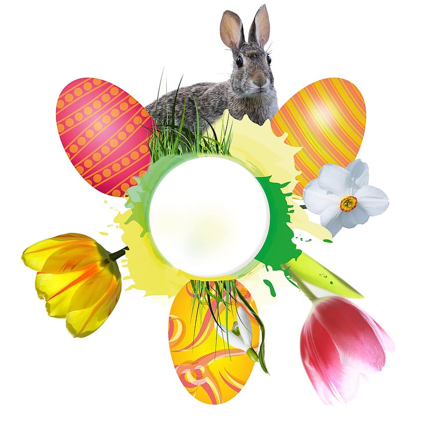kelinci Paskah, telur, musim semi, frühlingsanfang, kebangkitan musim semi, Paskah, bunga, bunga tulp, narsisis, kepingan salju, kolase
