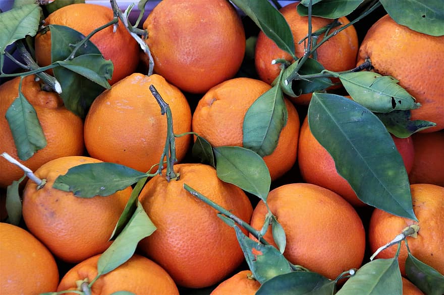 Tangerines, Fruit, Food, Produce, Harvest, Organic, Natural, Oranges, Mandarin, Citrus Fruits, Clementines