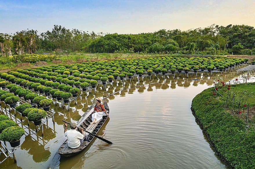 Farm, Vietnam, Nature, Landscape, Asia, agriculture, men, water, plant, fruit, rowing