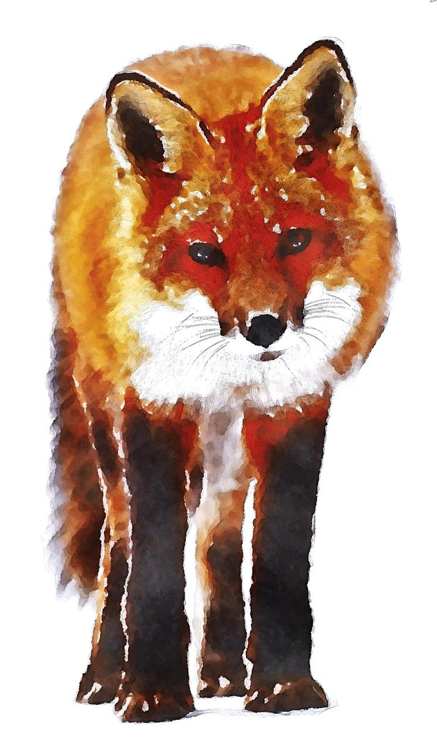 Fox, Watercolor, Oekaki, Animal