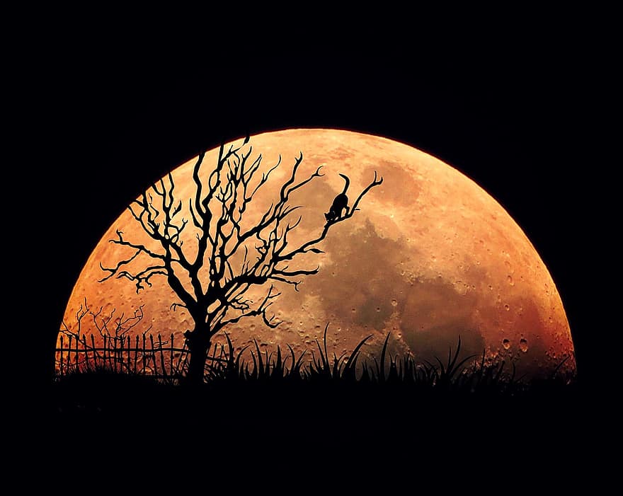 měsíc, Měsíční noc, úplněk, romantika, mysticismus, mystický, měsíční krátery, noční obloha, shilouette, ponurý, temný