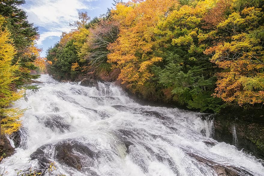 Waterfall, Cascade, River, Stream, Trees, Leaves, Foliage, Autumn, Landscape
