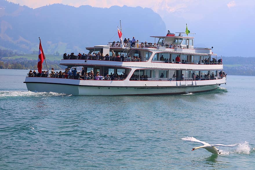 船、白鳥、山岳、水、湖、アルプス、旅行する、観光、スイス、屋外、航海船