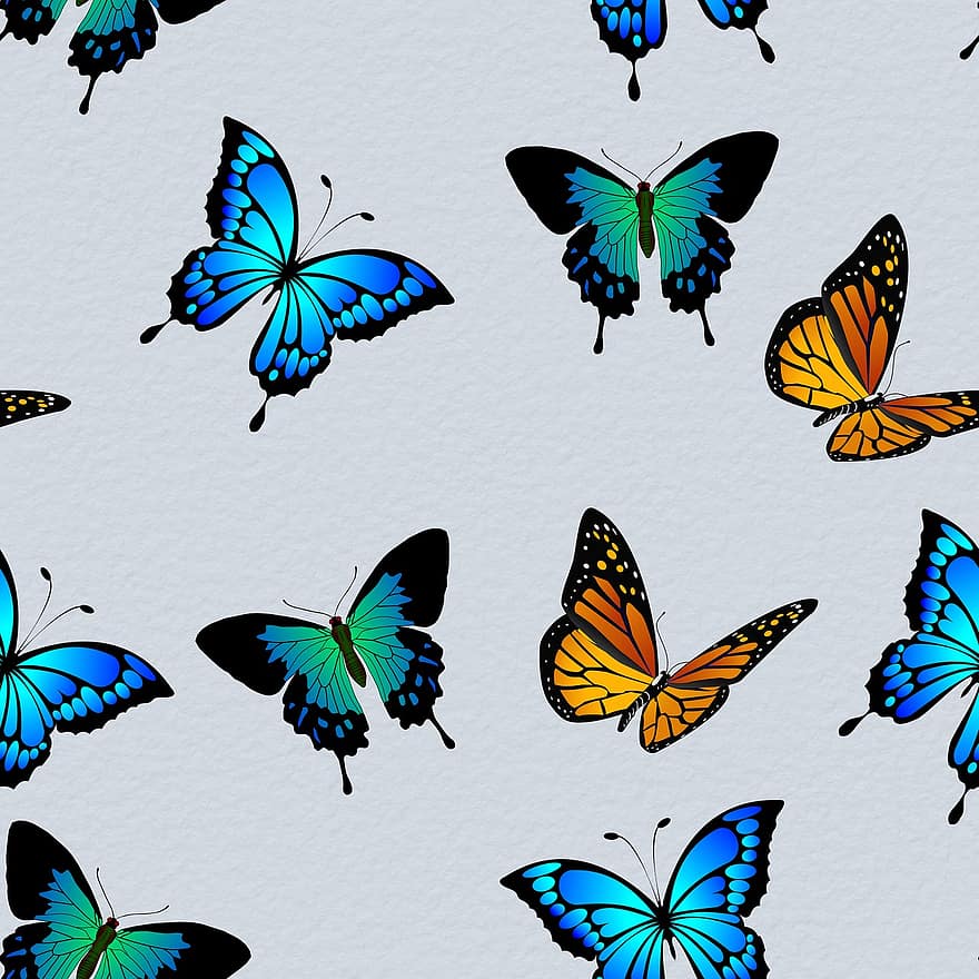 sommerfugl, mønster, natur, design, dekorative, årgang