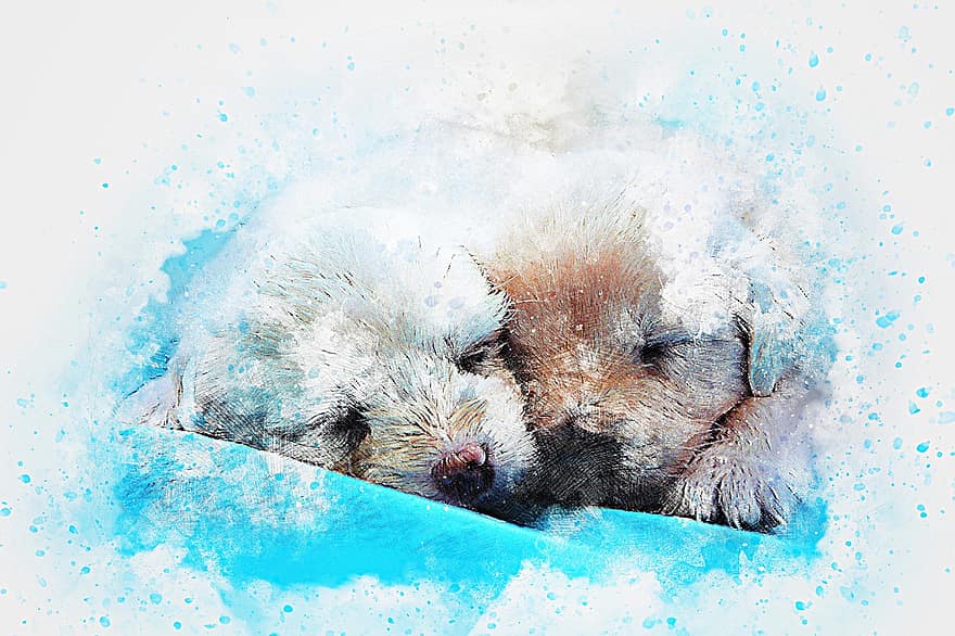 Dogs, Sleeping, Animal, Art, Abstract, Watercolor, Vintage, Colorful, Pet, Puppy, Nature