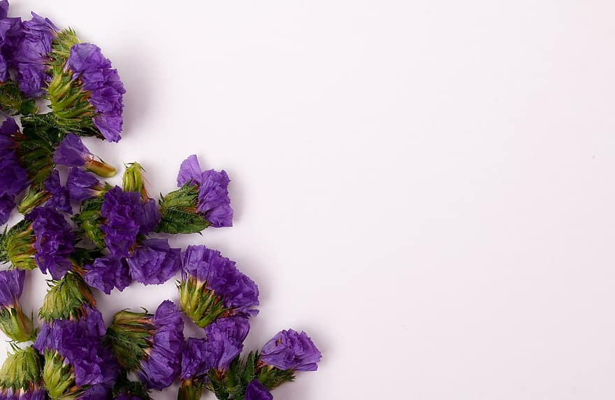 bloemen, bloemblaadjes, achtergrond, paarse bloemen, zee lavendel, statice, decoratie, decor, arrangement, mockup, montuur