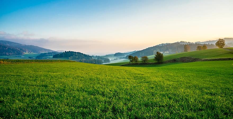 草、畑、丘、草原、牧草地、緑、風景、自然、オーストリア