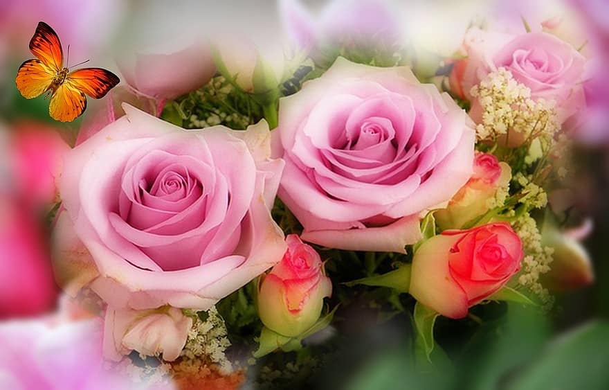 rosa, rosas, lilás rosa, Rosa salmão, botão de rosa, ramalhete, borboleta, romântico, natureza, plantar, cor rosa