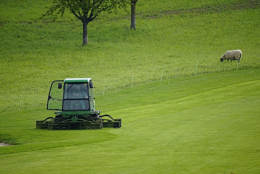 Greenkeeping, græs, golf, sport, slår græs, golfbane, gård, eng, landlige scene, grøn farve, landbrug
