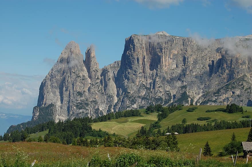 高山草原、崖、高原、Alpe Di Siusi、Seiser Alm、牧草地、フィールド、高山ツンドラ、木、山岳、アルプス