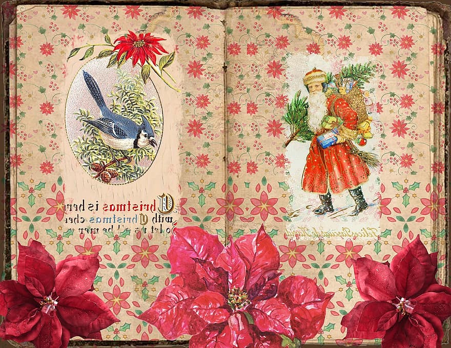 Natale, uccello blu, Babbo Natale, poinsettia, scrapbooking, Vintage ▾, vittoriano