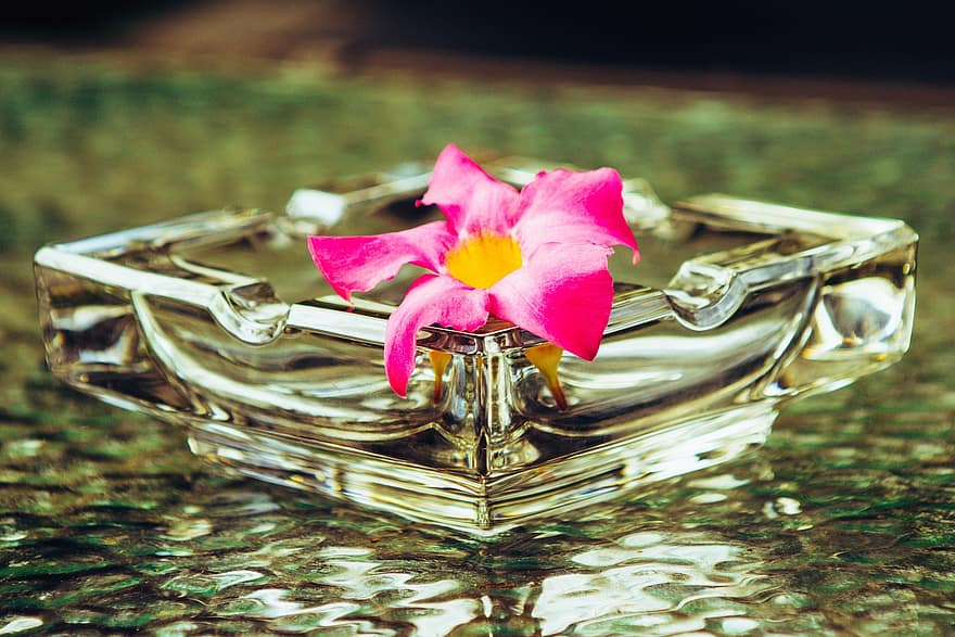 花、花びら、灰皿、テーブル、槌で打たれたガラス