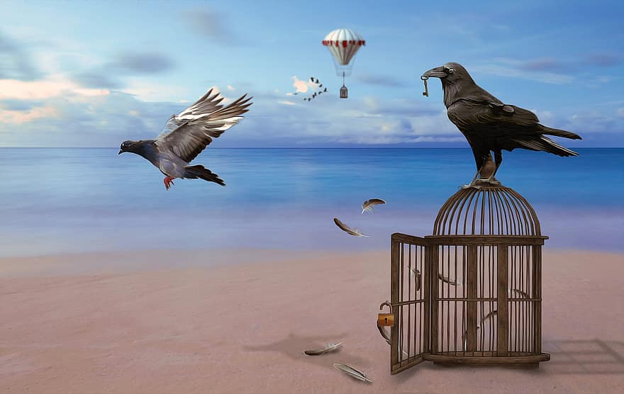 corb, gàbia, colom, castell, clau, alliberament, globus, platja, ploma