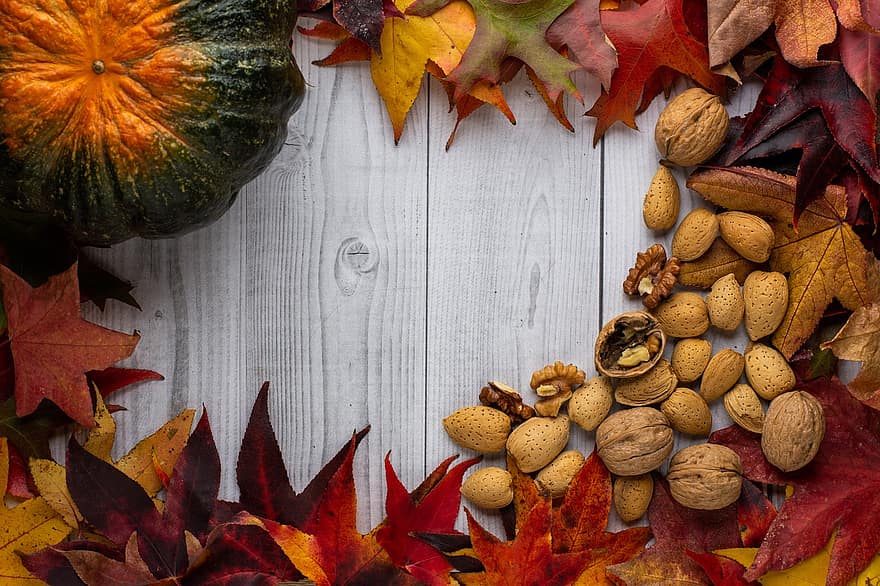 Pumpkins, Nuts, Leaves, Table, Kitchen, Autumn, September, Plant, Food, Healthy, Organic
