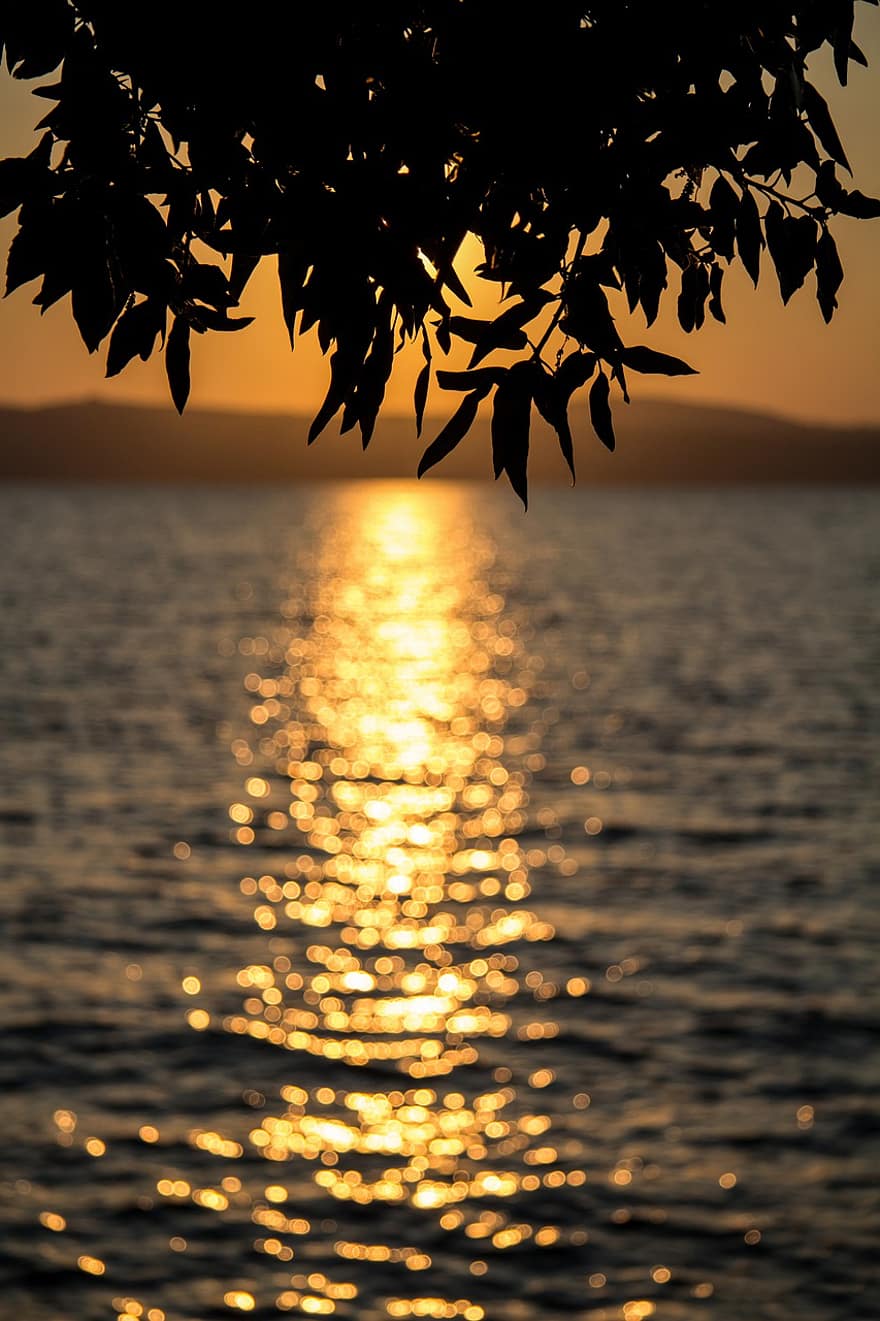 lago, tramonto, crepuscolo, albero, le foglie, fogliame, onde, riflessione