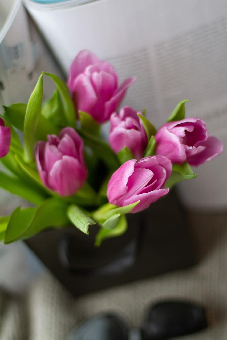 blomster, tulipaner, flor, blomstre, botanik, plante, forår, sæson-, blomst, vase, buket