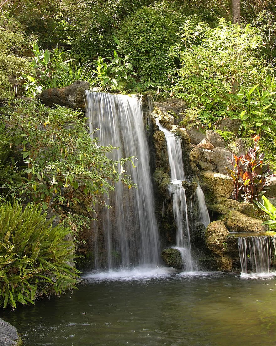 Garden, Cascade, Waterfall, Cascading, Plants, Rocks, Flow, Flowing Water, Torrent, Landscape, Pond