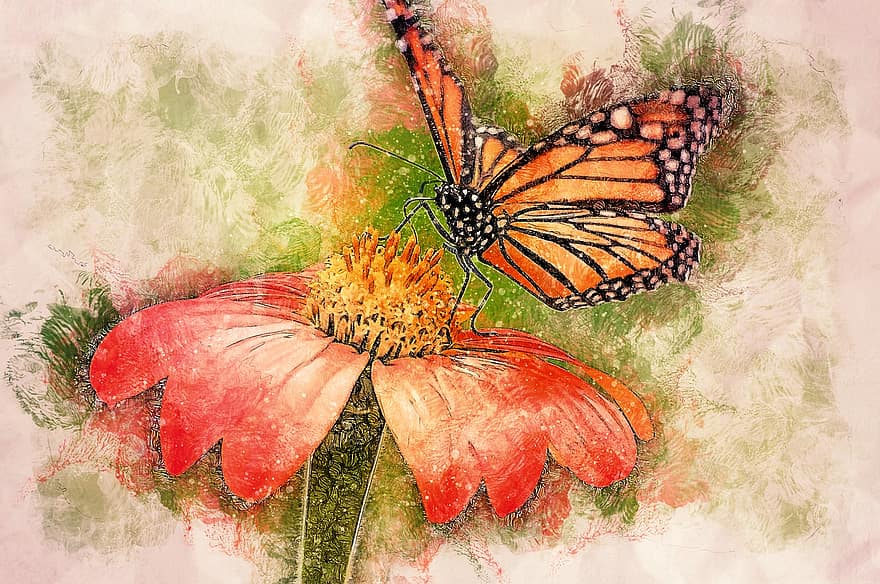 fjäril, pollinering, blomma, målning, konst, konstverk, natur, bakgrund
