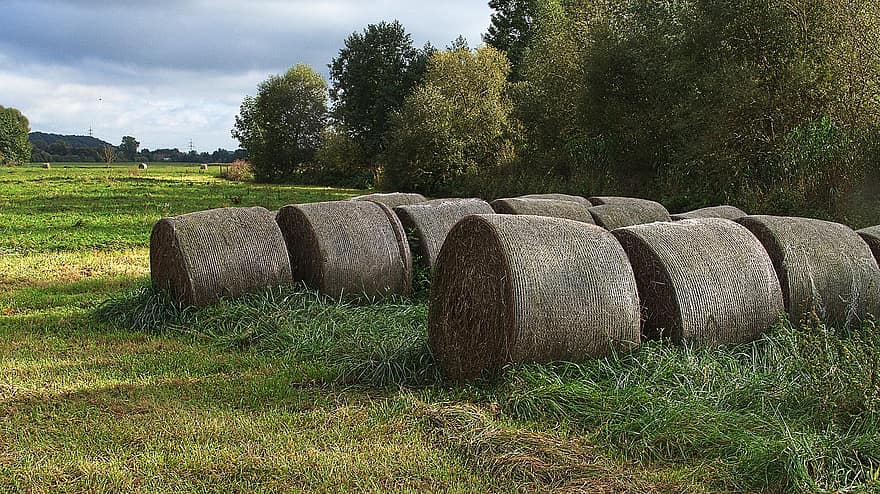 Straw Bales, Hay Bales, Meadow, Agriculture, Landscape, Bales Of Hay