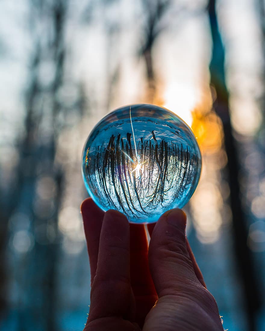 lensball, alberi, natura, mano, palla di vetro, palla di cristallo, riflessione, boschi, paesaggio, foresta, Fotografia di Lensball