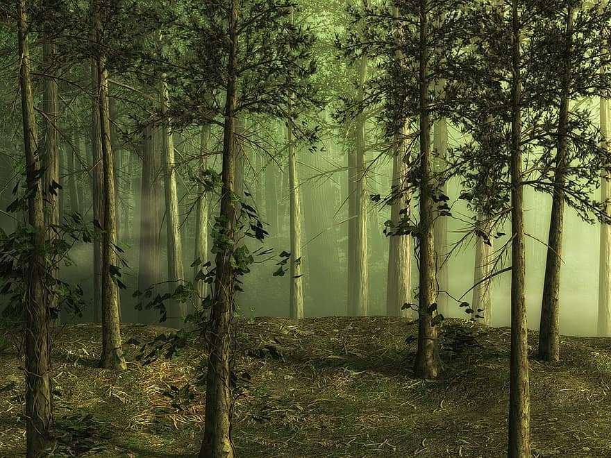Wald, Baum, Landschaft, Märchenwald, Fantasie, digitale Kunst, Weg