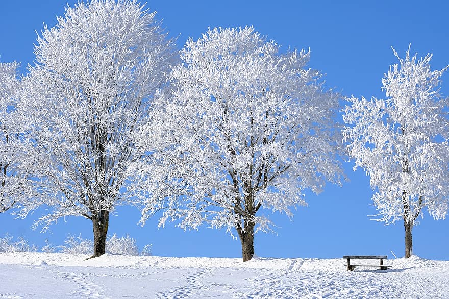 Schnee, Bäume, Bank, Schneefeld, eisig, winterlich, Raureif, Frost, Schneelandschaft, Winterlandschaft, schneebedeckt