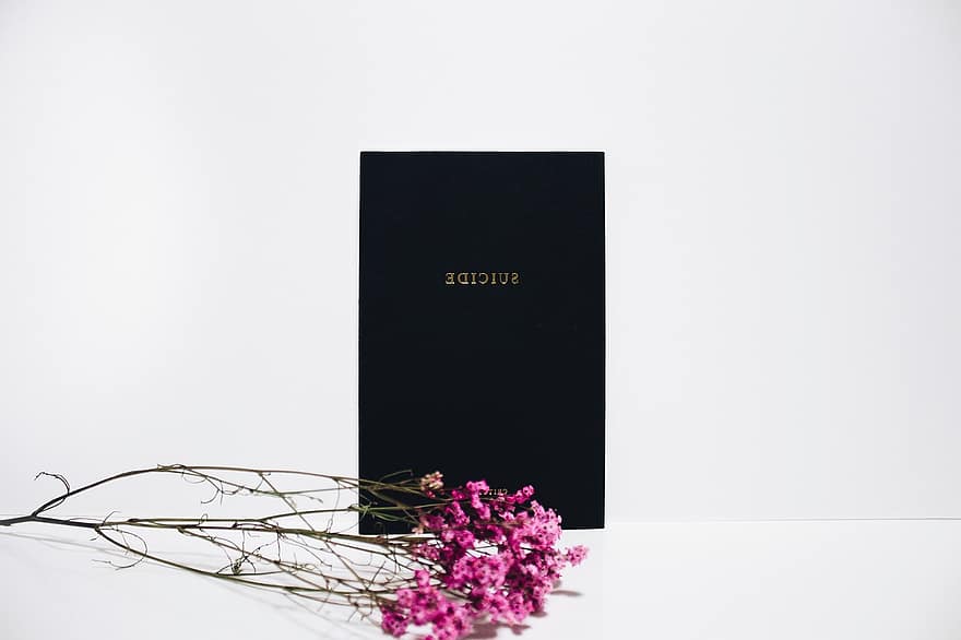 Books, Book, Reading, Library, Black, Suicide, Pink, Flower