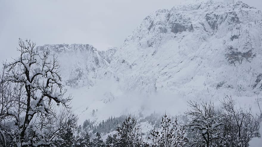 hiver, Montagne, saison, rural, en plein air, Voyage, exploration, des arbres, neige, Abkhazie, paysage