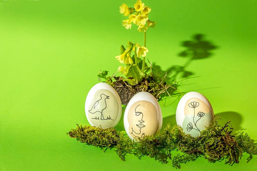 Pascua de Resurrección, huevo de Pascua, prímula, musgo, nido de pascua, verde, primavera, hierba, decoración, temporada, color verde