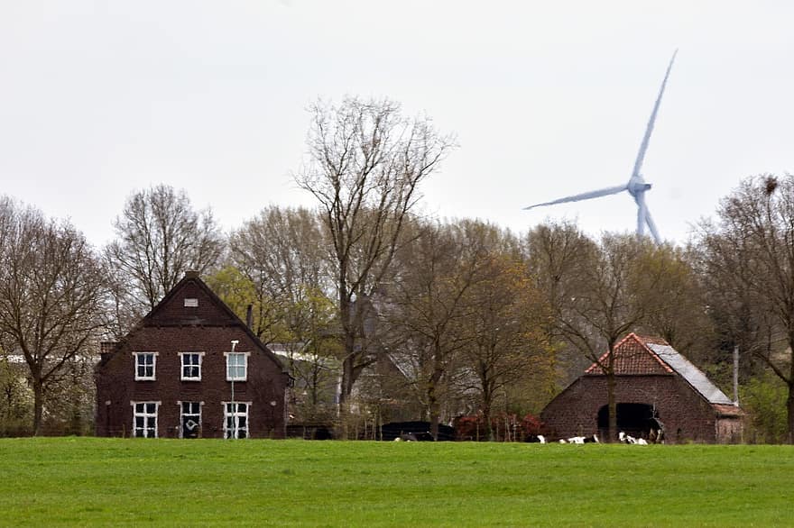 Холандия, ферма, вятърна мелница, енергия, ливада, поле, вятърна турбина, селска сцена, трева, селско стопанство, производство на гориво и енергия